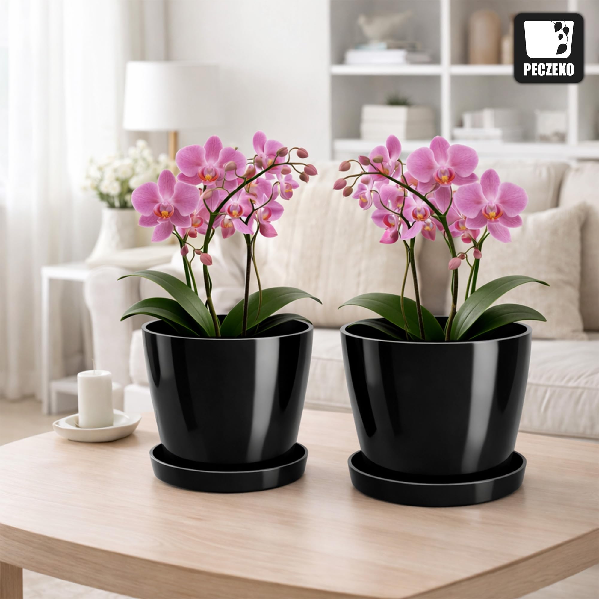 View 4