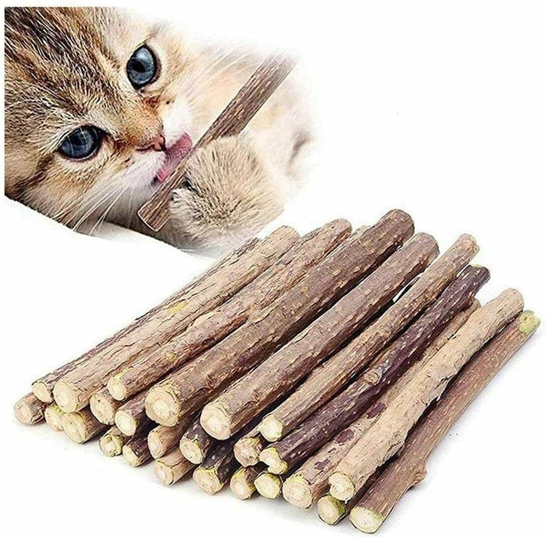 40 Pack Cat Nip Sticks Dried Silvervine Natural Wood Play Dental Chew Toy Teeth Clean Chewing Grinding Tetting Treat Treats Toothbrush Matatabi Kitten