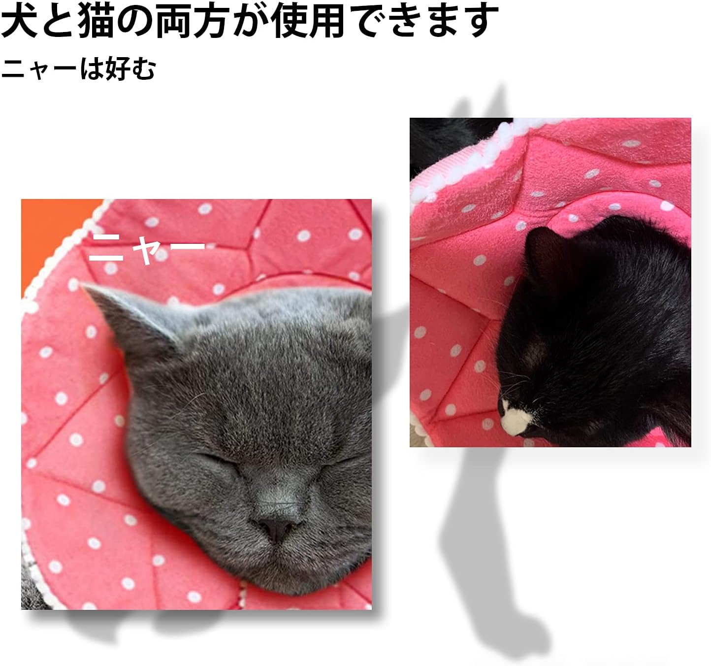Amazon エリザベスカラー 猫用 小型犬用 術後傷口保護 傷舐め防止 引っ掻き防止 S ピンク水玉 Suswim エリザベスカラー 通販 Amazon エリザベスカラー 猫用 小型犬用 術後傷口保護 傷舐め防止 引っ掻き防止 S ピンク水玉 Suswim エリザベスカラー 通販