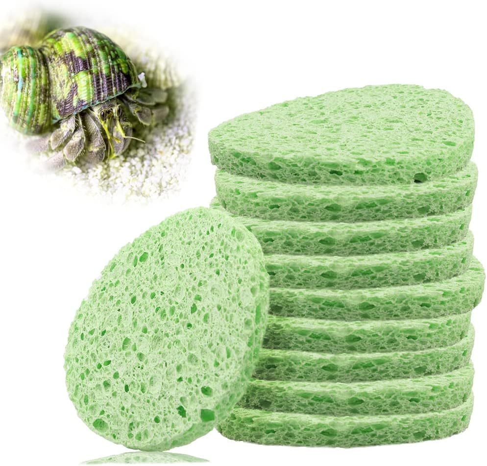kcrygogo Hermit Crab Green Sponge Accessories for Maintaining Tank Humidity (10pcs)