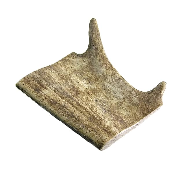 Foto 7 de 8 de Asta de Gamo, Talla L - 2 unds. Peso Total más de 300 gr