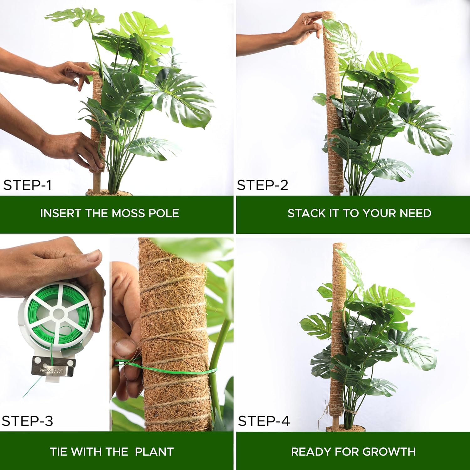 Support de plante de 30 cm en tiges de mousse, bâton de mousse pour Monstera et plantes grimpantes