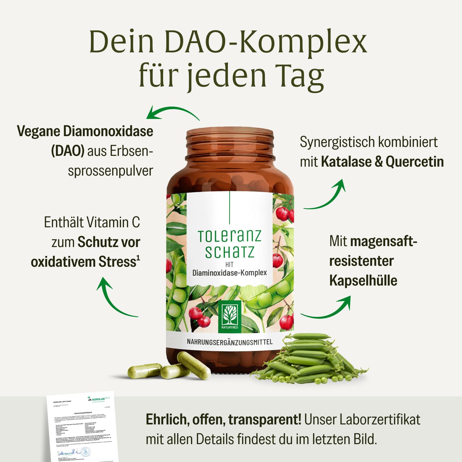 DAO Enzym Komplex mit Diaminoxidase aus Erbsen – 60 vegane DAO Kapseln – bei histaminreicher Ernährung – bis zu 60-Tage-Vorrat - NATURTREU® Toleranzschatz