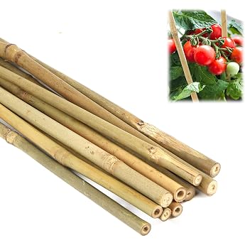 Bamboo Sticks Set 40 cm Plant Support 20 Pieces Plant Stakes Natural Garden Supports for Tomatoes Beans Flowers and Trees Trellis Sticks for Potted Plants and Climbing Plants