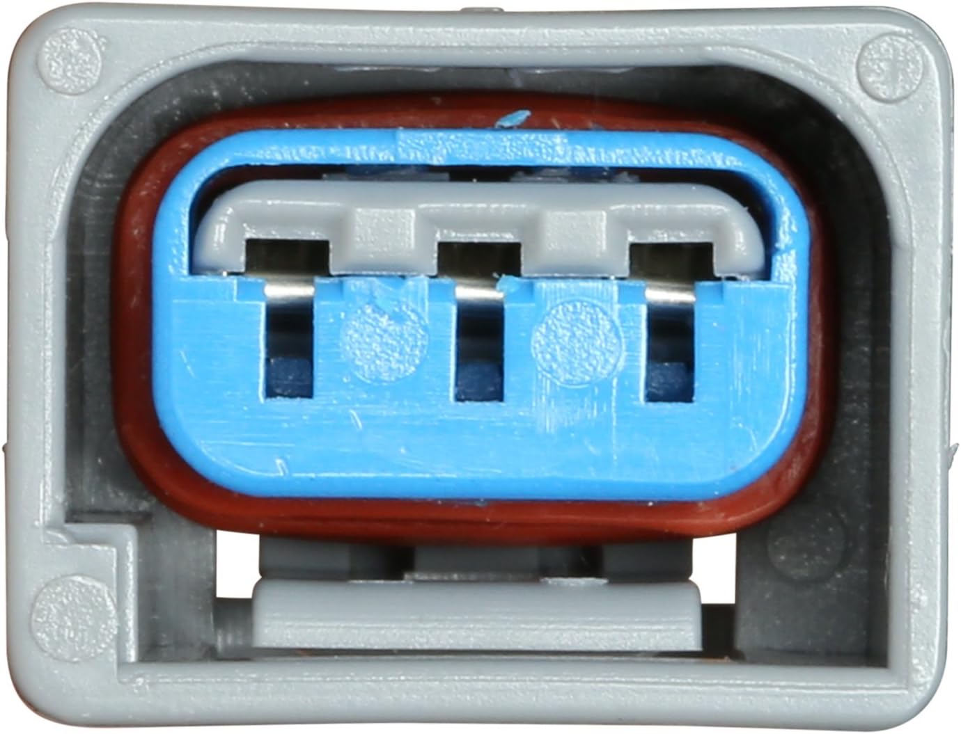 Delphi FG0876 Fuel Module