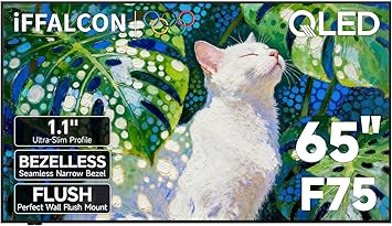 iFFALCON 65-Inch Class QLED 4K F75 Smart TV, Ultra-Slim 1.1 Floating Picture Frame TV, Seamless Wall-Mount Installation | Dolby Vision IQ, 144Hz, Google TV, Alexa | Works w/Legacy Devices