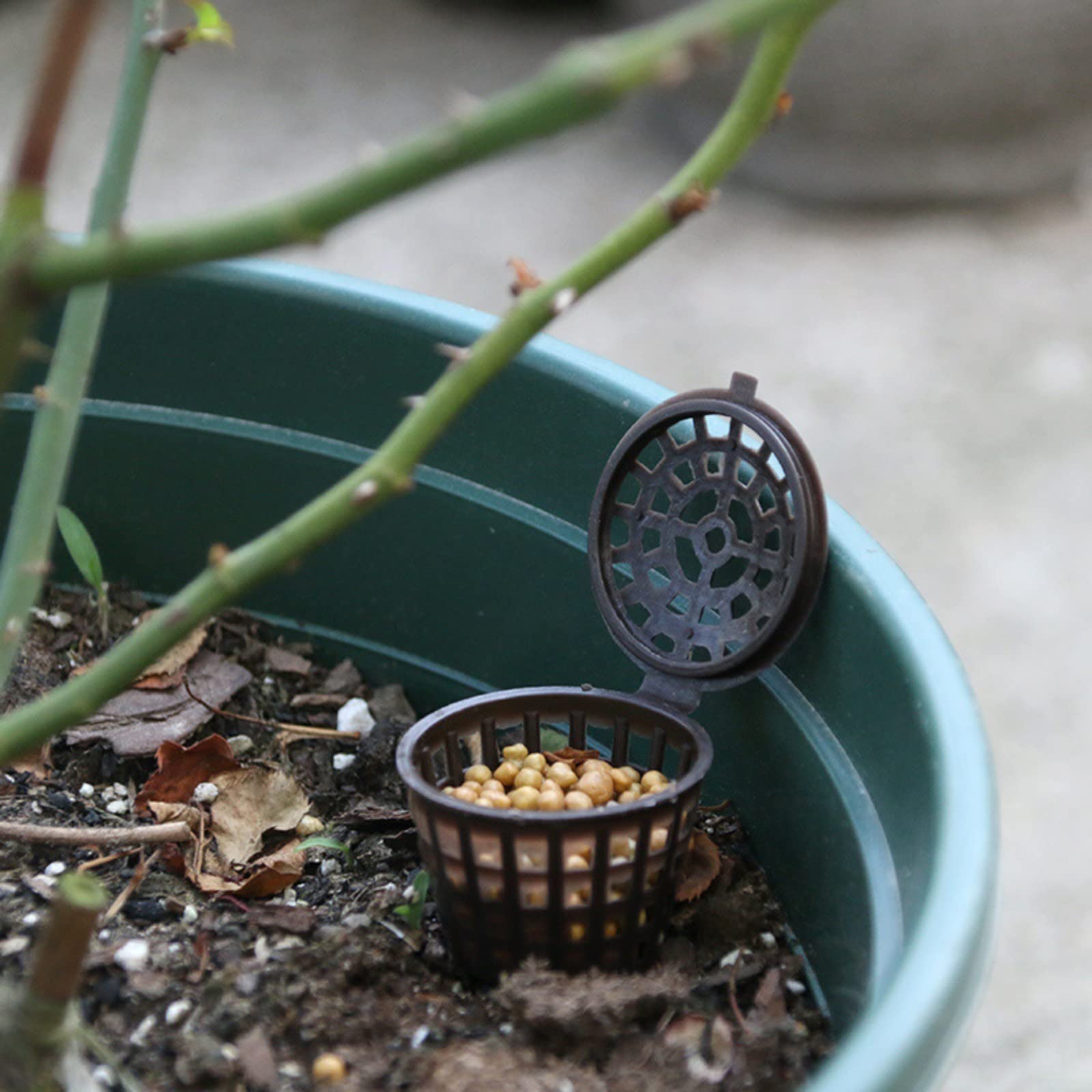 100 cestas de malla de fertilizante, orquídeas, fertilizante para jardín, bonsái, cesta de abono para bonsai jugosas orquídeas bonsái