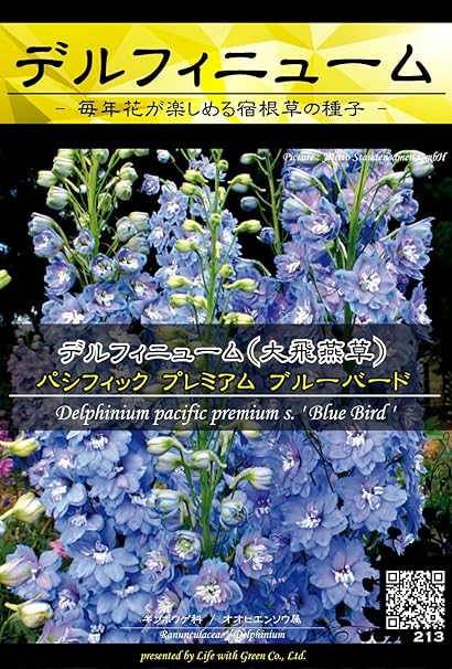 Amazon 宿根草種子 デルフィニューム パシフィック プレミアム ブルーバード Life With Green 花