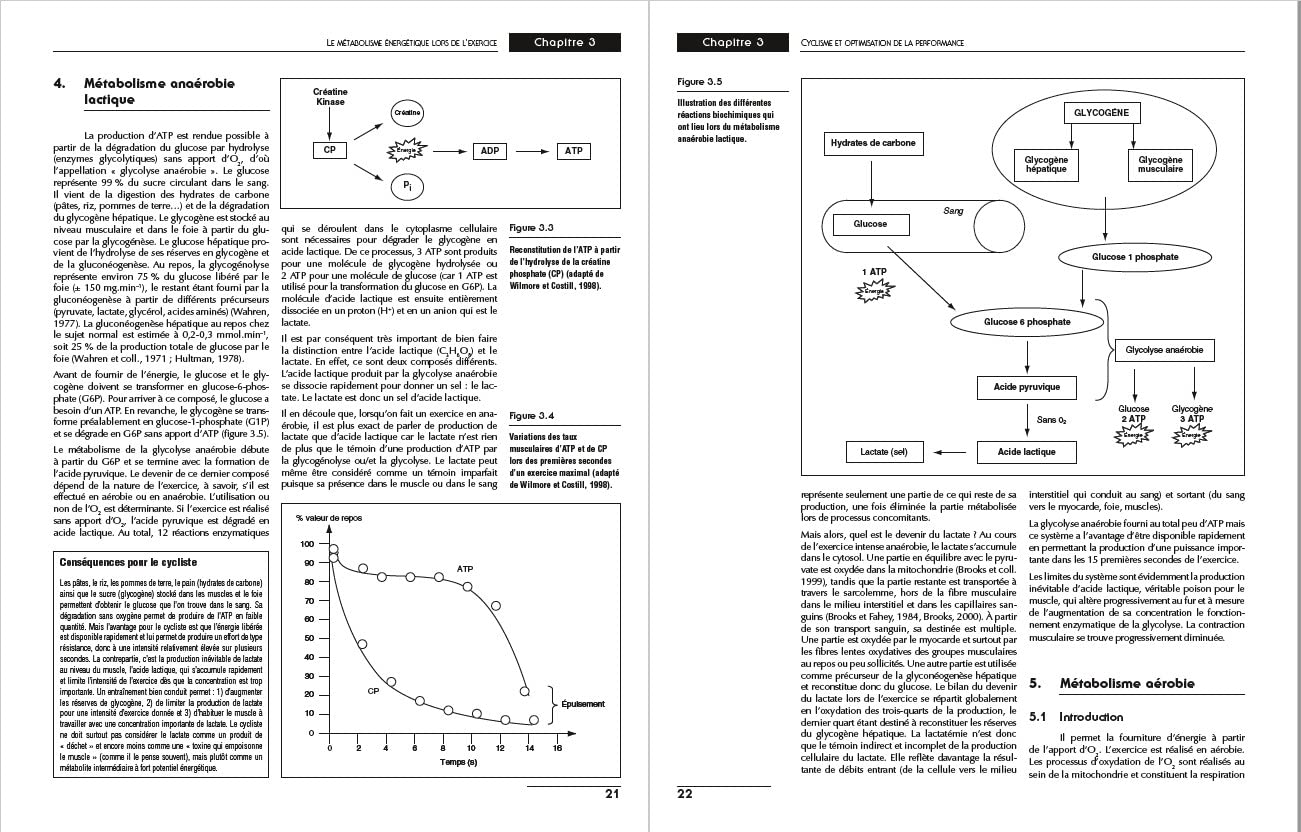 Cyclisme: Optimisation de la performance