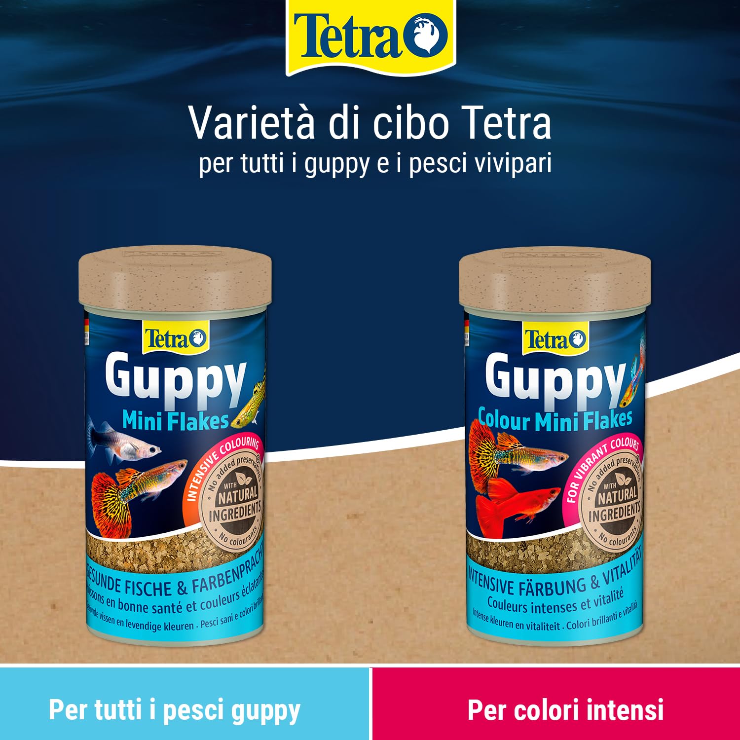 Tetra Guppy Colour Mini Flakes - Mangime per tutti i guppy, cibo in scaglie fini per colori vivaci, lattina da 250 ml
