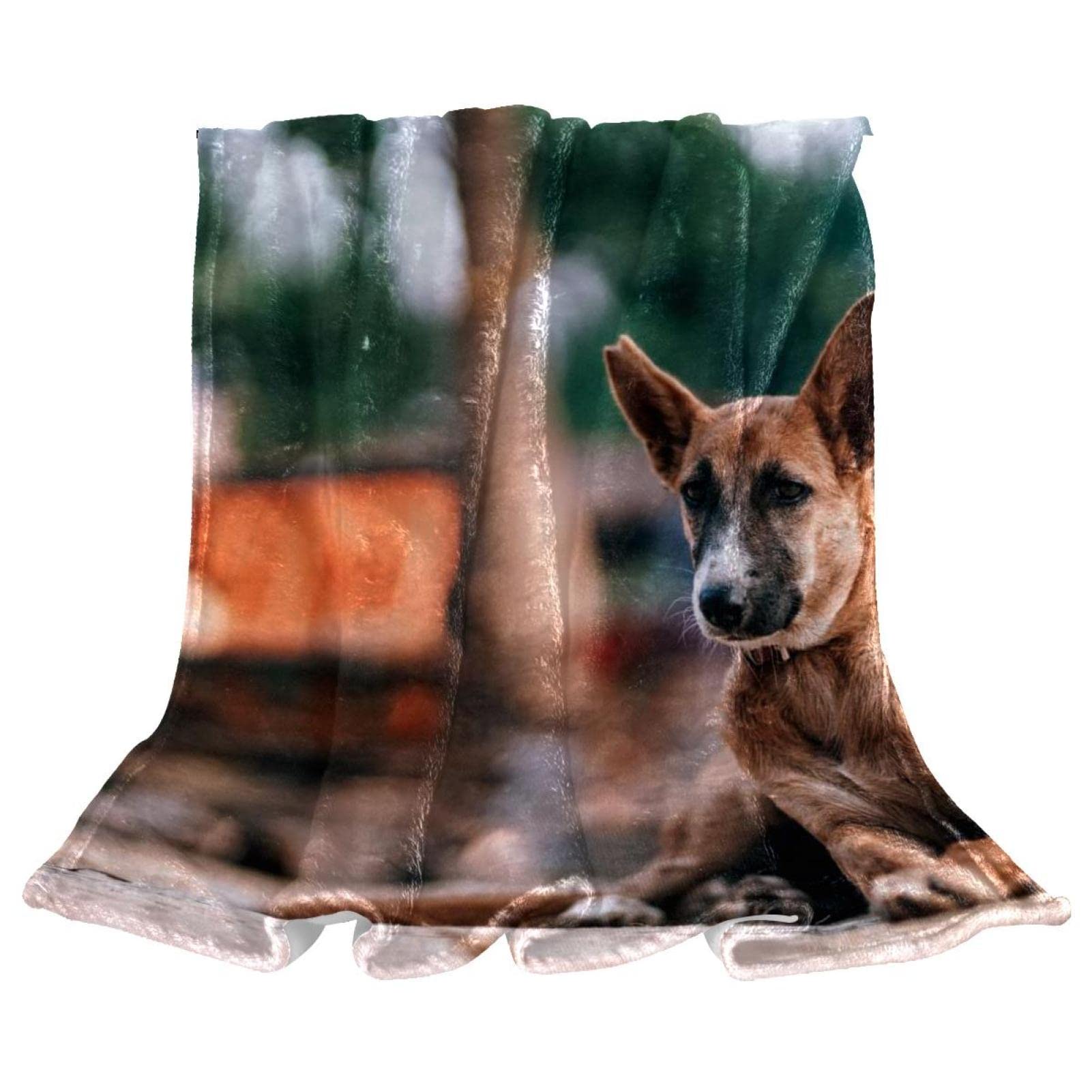 Couverture chaude et douce en microfibre plaid peluche animaux chien lit