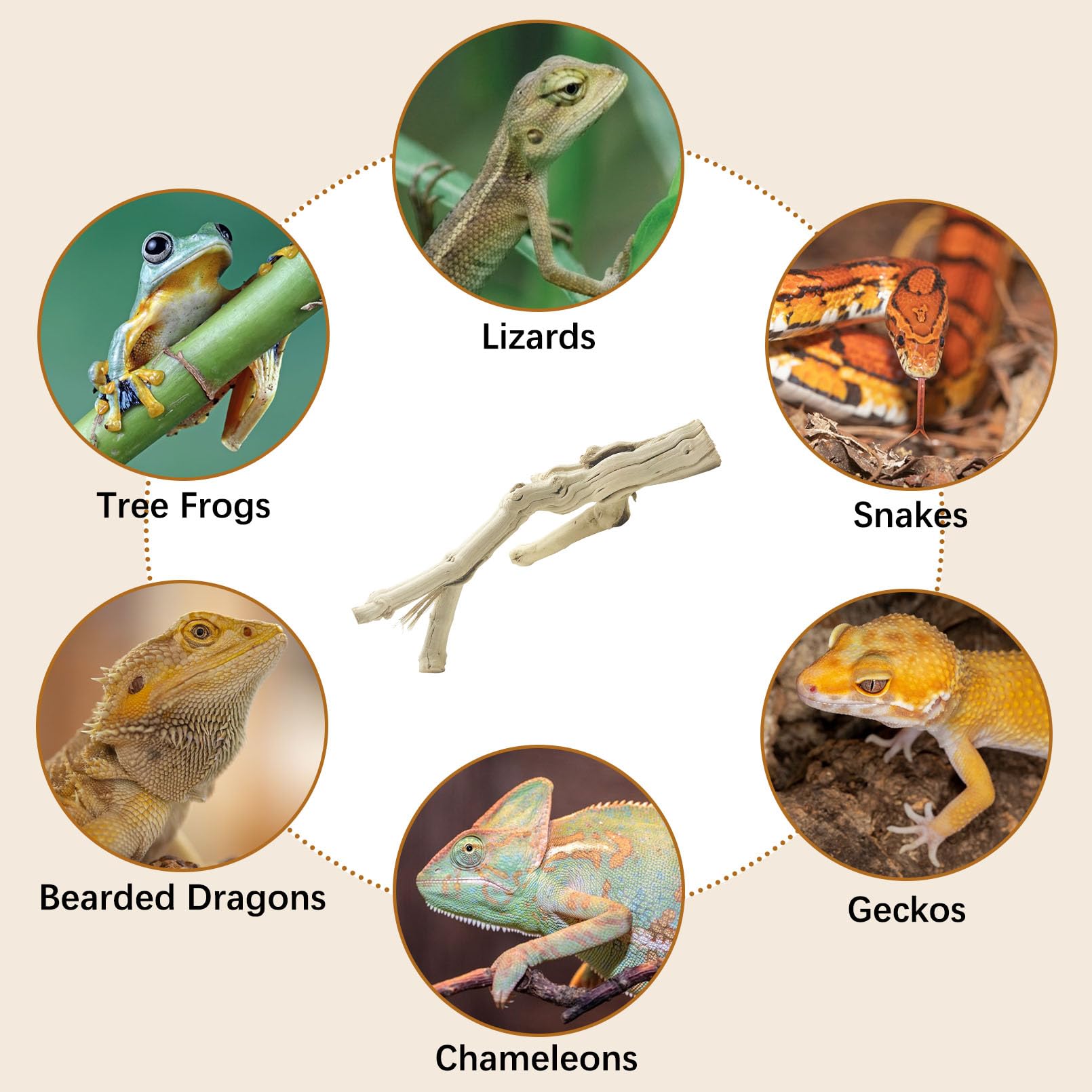 Reptilienzweige zum Klettern Natürliche Schlange Klettern Ast Extra Groß Holz Wald Baumstamm Dekor Eidechse Lebensraum Terrarium Dekorationen für Bartdrachen Geckos Chamäleon Frosch