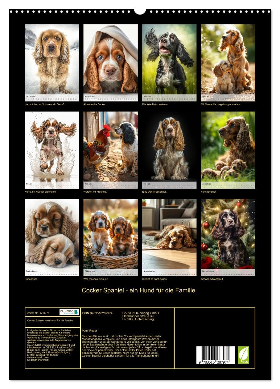 Cocker Spaniel - ein Hund für die Familie (hochwertiger Premium Wandkalender 2026 DIN A2 hoch), Kunstdruck in Hochglanz: Wer einen Hund besitzt, ist nicht einsam. (CALVENDO Tiere)