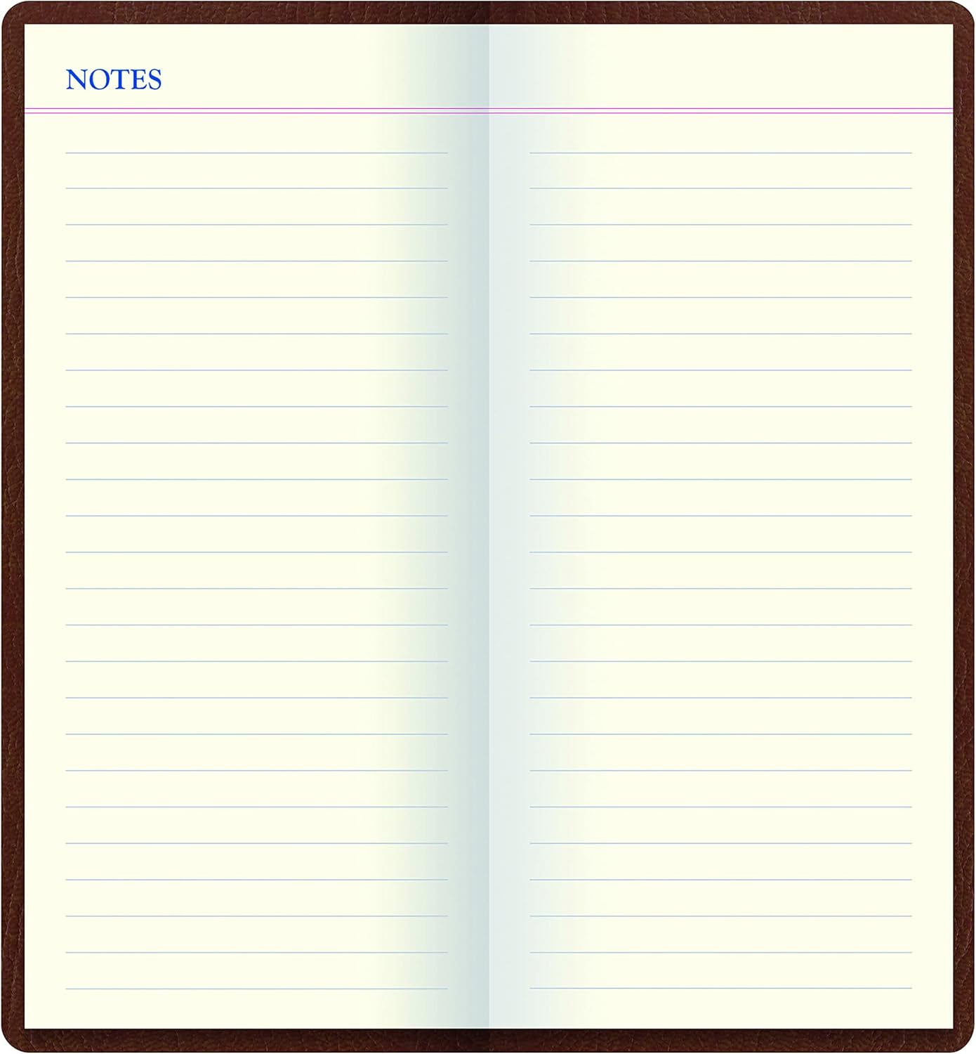 Lett's Note Origins Collection Slim Pocket Size Notebook with Gold Pen, Ruled, 240 Pages, Cream Paper, 5.75" x 2.75", Tan (B090011)