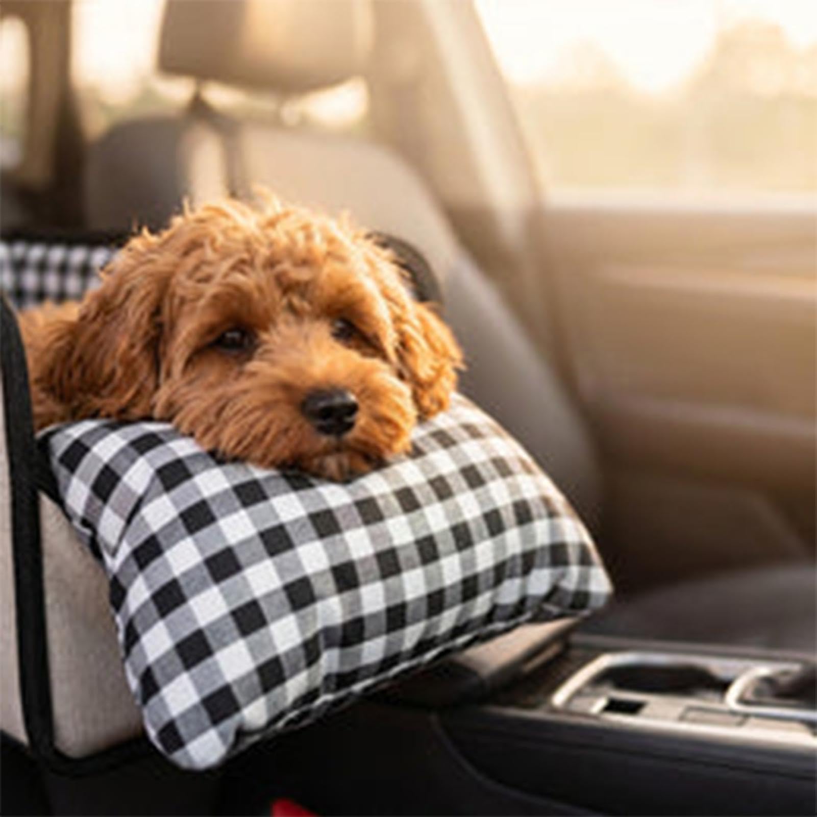 Seggiolino Auto per Cani Piccoli Trasportino Antiscivolo Stabile Morbido