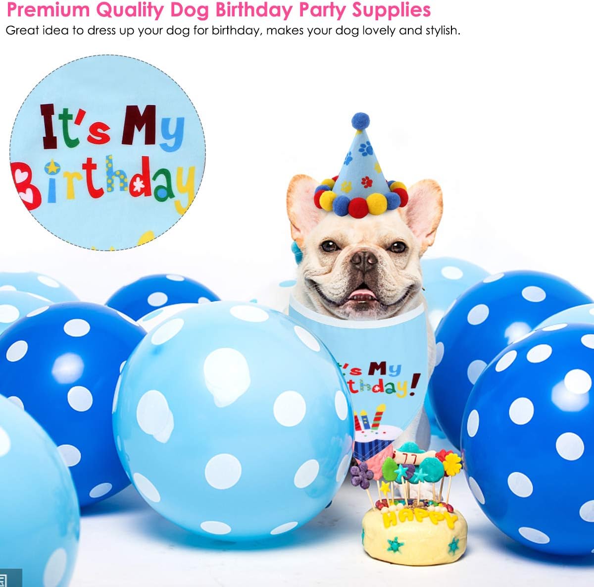 Pet Birthday Bandana & Hat Set