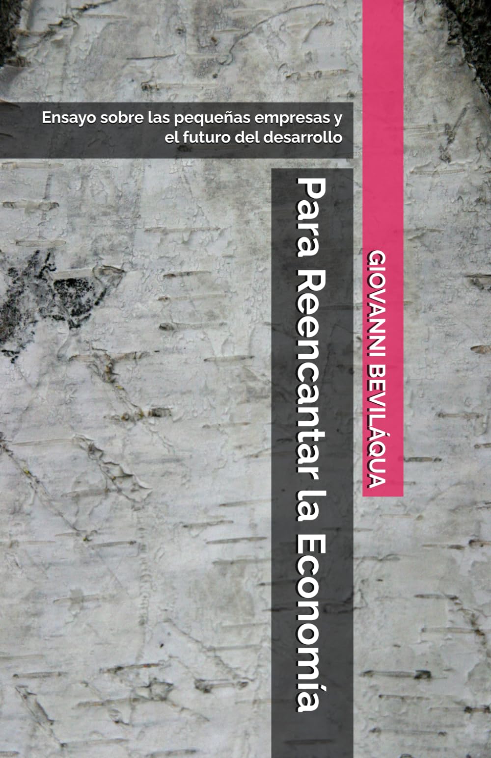 Para Reencantar la Economía: Ensayo sobre las pequeñas empresas y el futuro del desarrollo (Pequenos Negócios e Desenvolvimento Social e Econômico)