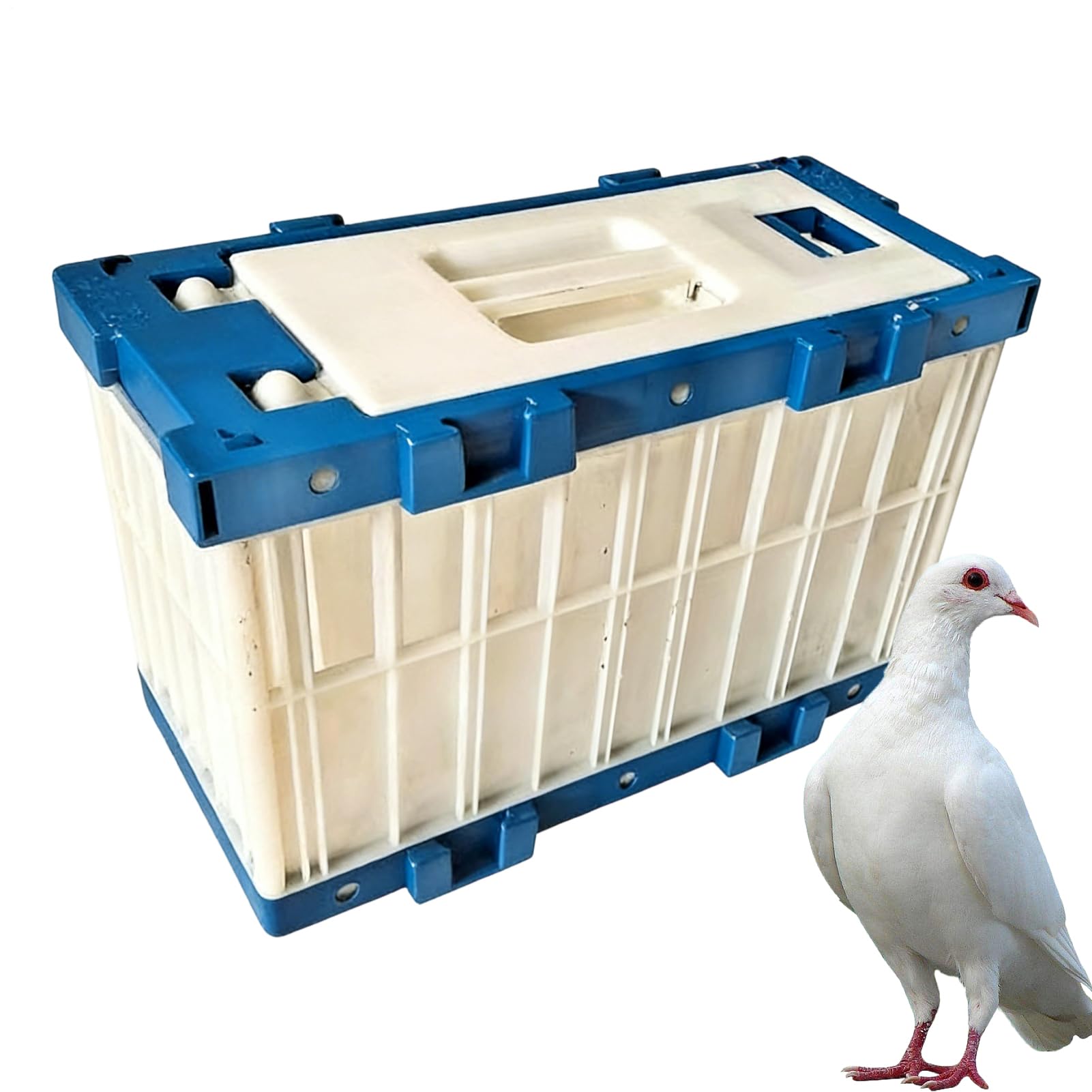 Cage de transport d'oiseaux portable pour perroquet, perruche et pigeon de compétition