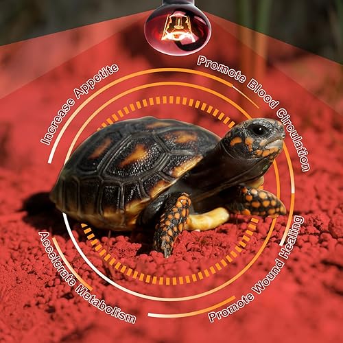 Miniatura 5 de Cenipar Bombilla infrarroja de 75 W, ideal para una amplia variedad de reptiles, anfibios, lagartos, tortugas, serpientes y otros animales, juego de