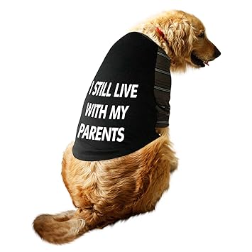 Ruse.Pet Clothes Still Live Printed Striper Full Sleevess Round Neck Raglan Dog Streetwear T-Shirt/Tees Apparel for Dogs./X-Large (Full Grown Retrievers, Labs etc.)