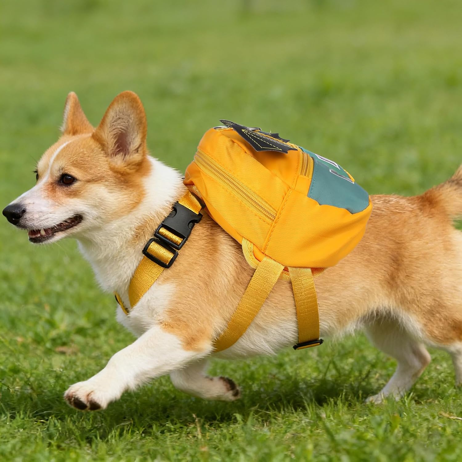 1Pc Pet Self Wearing Backpack for Dogs Storage Pouch Capacity for Outdoor to Use with Smooth Zipper Closure for Hiking