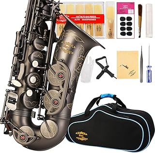 GLORY Engraved Flower High Grade Antique Finish Series PR3, E Flat Alto Saxophone with 11reeds,8 Pads Cushions,case,carekit