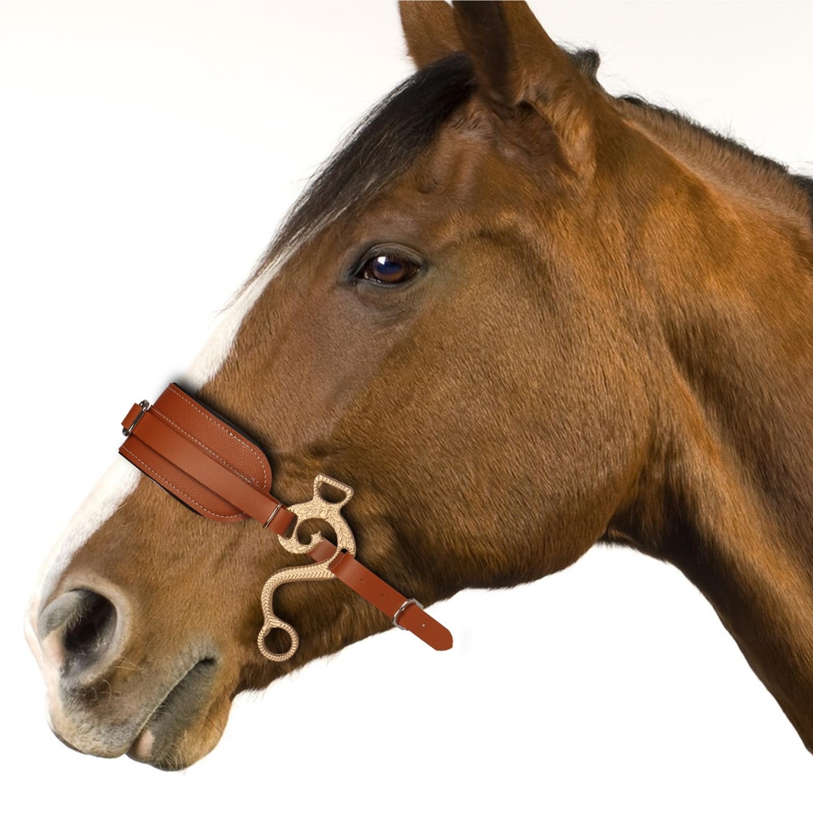 Cavezza Per Cavallo Equipaggiamento for morso for cavallo Hackamore Cordino for naso in pelle marrone imbottito regolabile