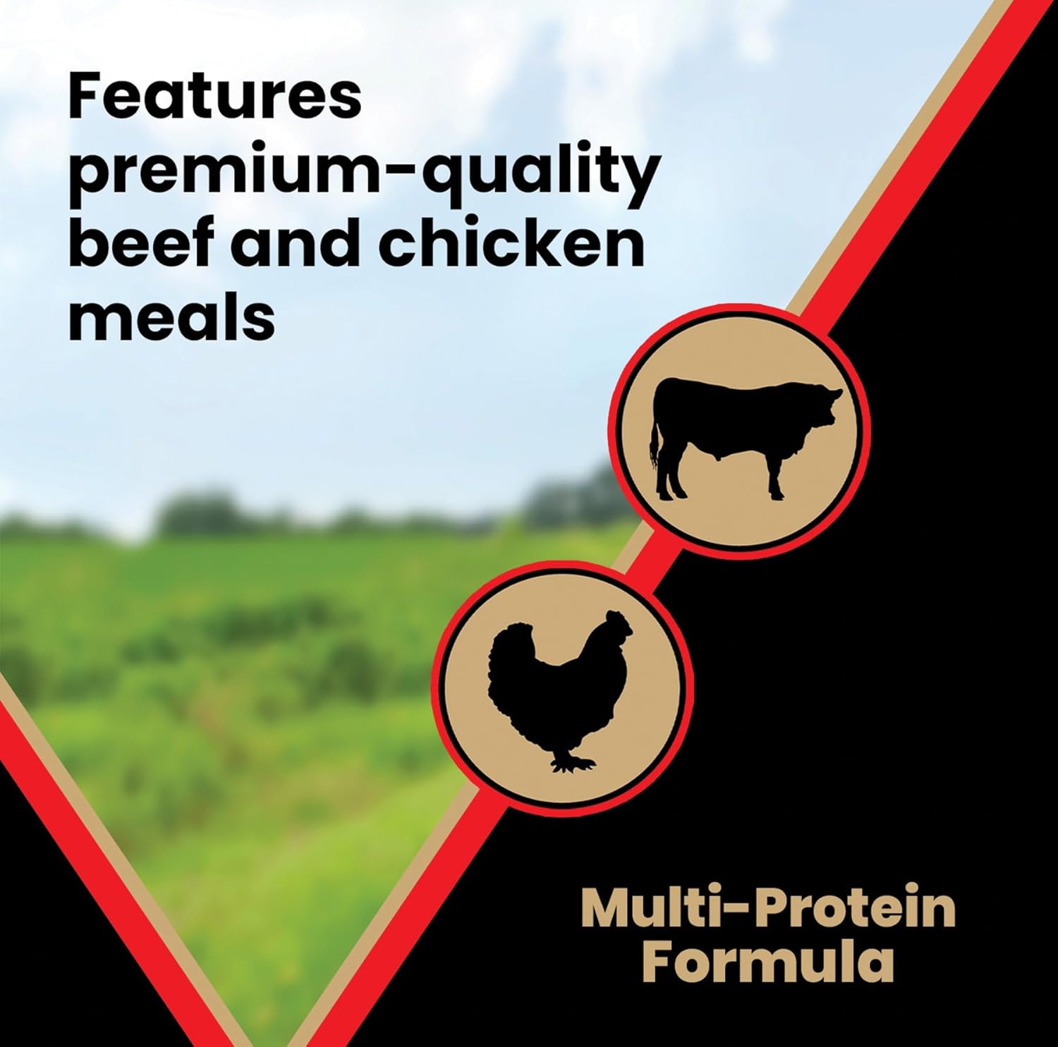 VICTOR Super Premium Dog Food – High Energy Dry Dog Food for Active Dogs – Gluten Free Canine Kibble with Beef and Chicken Meal Proteins for Sporting Dogs – All Breeds and All Life Stages, 15 lb - Image 6