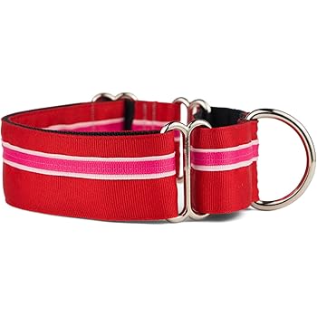 if it barks martingale collar