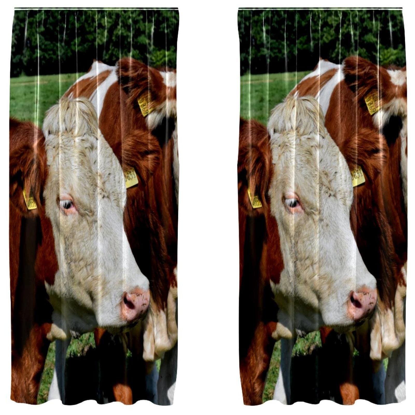 Rideaux occultants vaches 140x213 cm contre le vis-à-vis et la lumière du jour