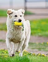 Vista 6 de Carllg Juguetes masticables para perros, cepillo de dientes para cachorros, dientes limpios, juguetes interactivos de maíz, juguetes para perros