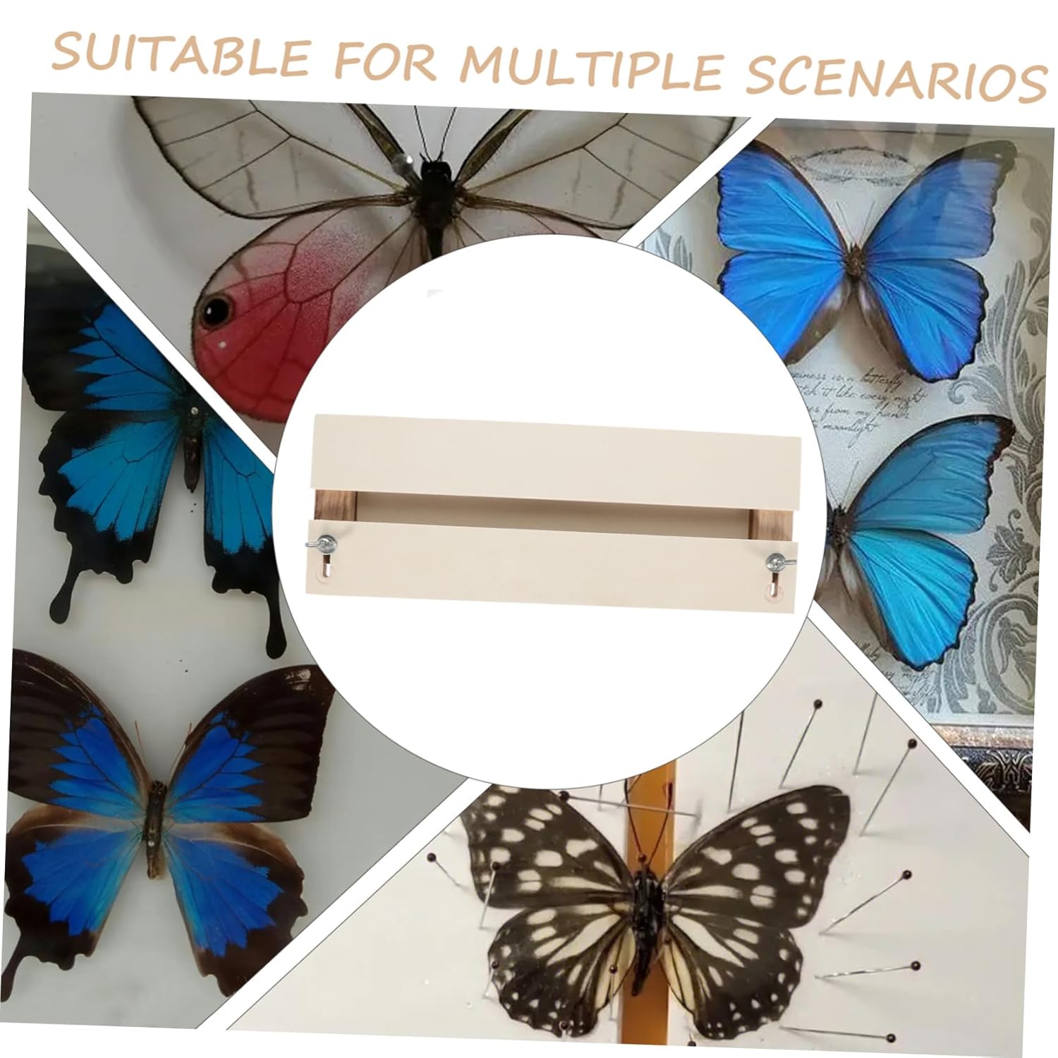 LIFKOME Specimen Pinning Board for Butterfly Wings Insect Plate for Teaching Collection Delicate Design for Display of Specimens
