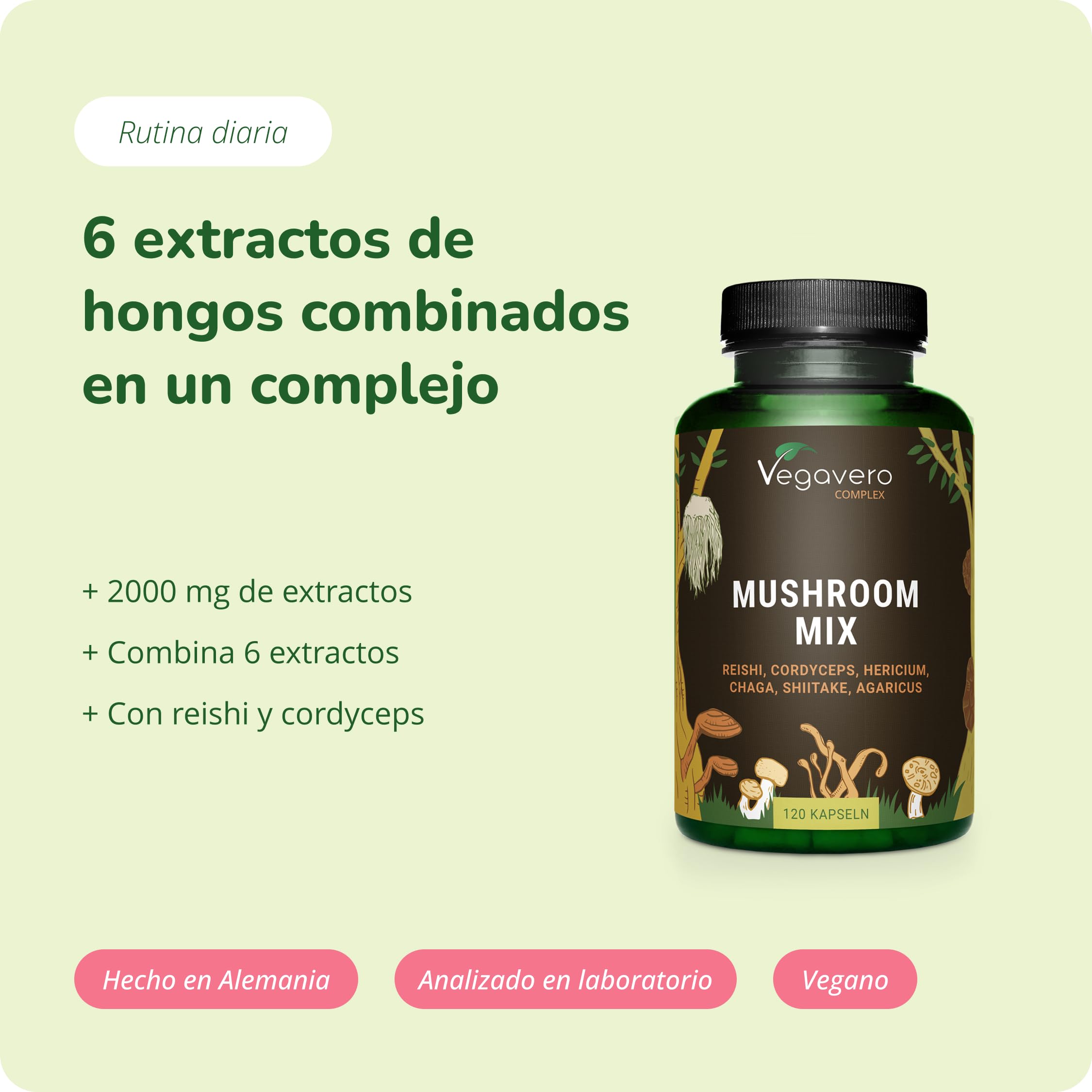 Hongos Complex de 6 Sepas | 2000 mg de Extracto | Reishi + Cordyceps + Lions Mane + Shiitake + Chaga | 120 Cápsulas | Sistema Imune y Defensas | Vegano & Sin Aditivos | Vegavero