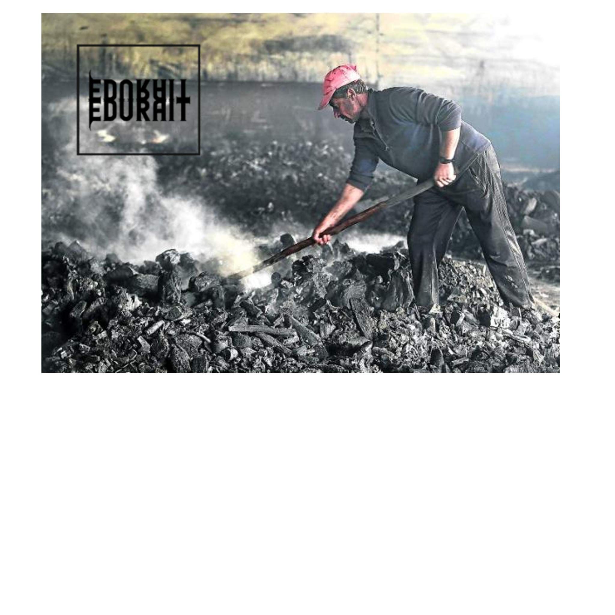 Carbón Vegetal Ecologico de Encina, para Barbacoas, Procedente de la Poda de Dehesas, Especial Barbacoas y Restaurantes. (3 Kg)