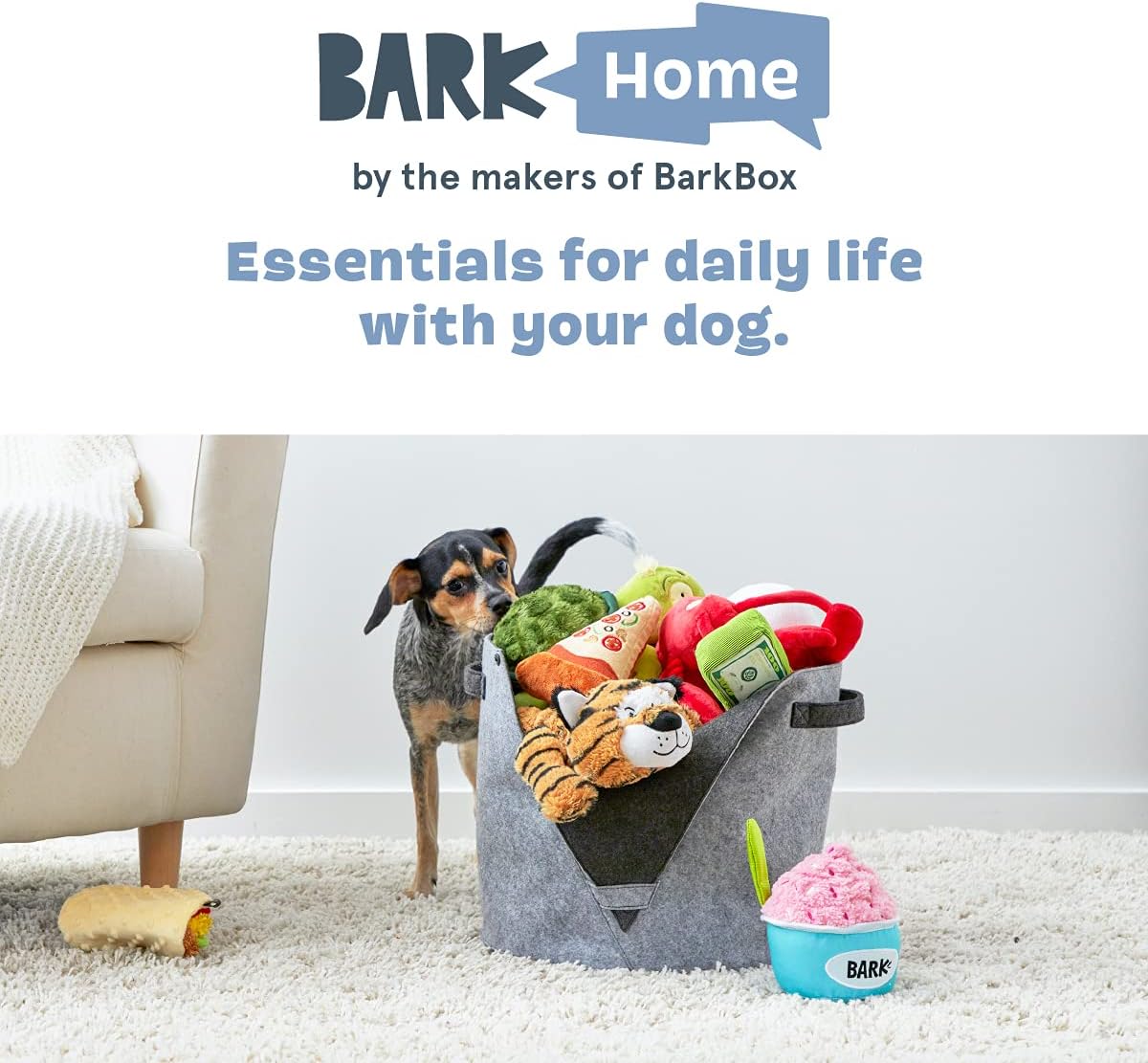 barkbox extra toy promo code