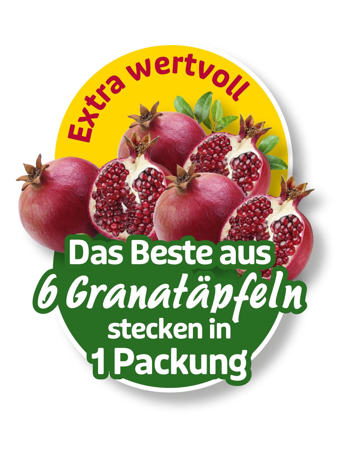 Granatapfel Bio-Saft 2x 6er