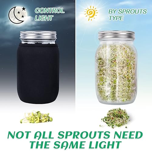 Miniatura 2 de Kit de tarro de germinación de semillas con 4 tarros de boca ancha, kit de cultivo de brotes de frijoles, tarro de cultivo de microverdes con tapas