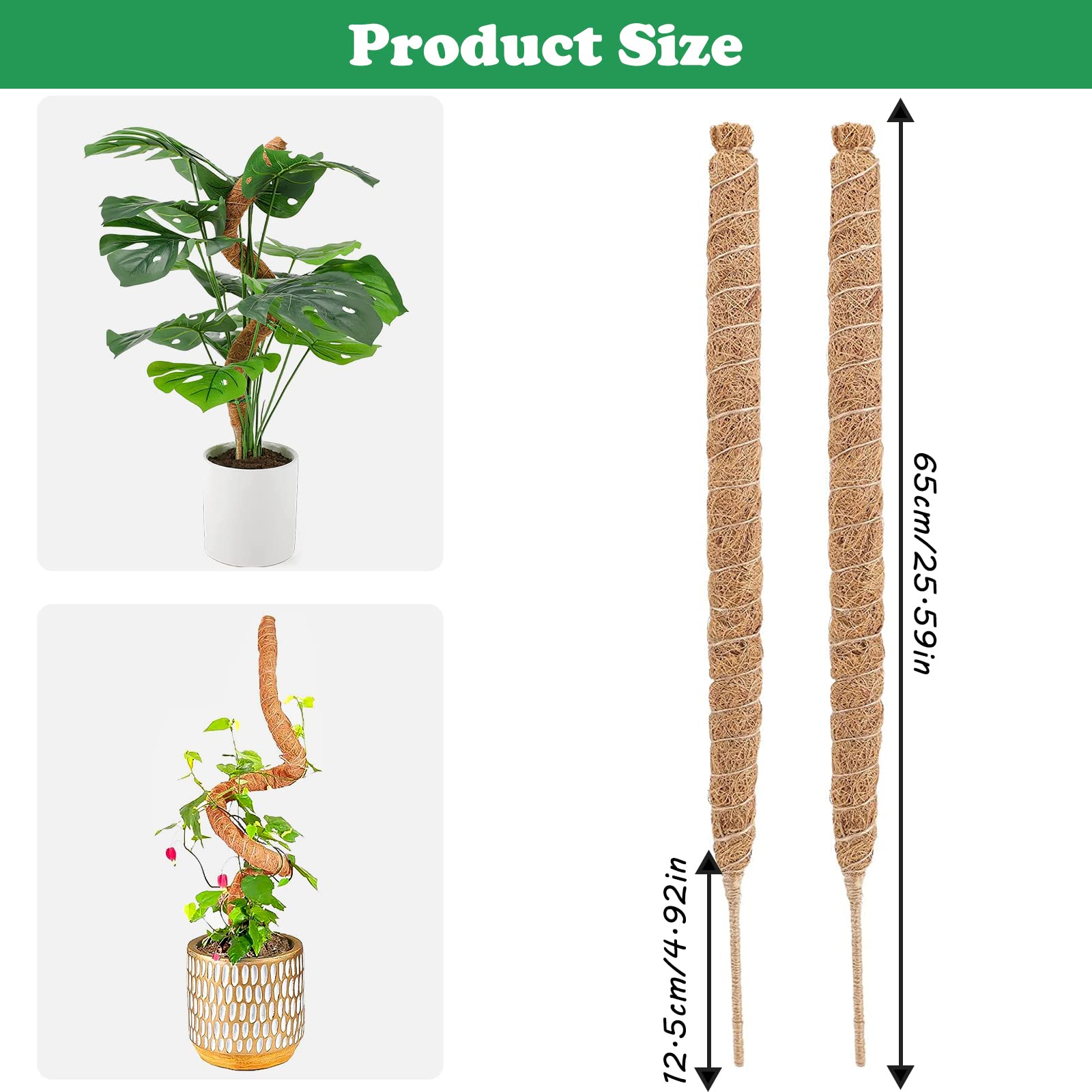 Pack of 2 Monstera Moss Stakes, 64 cm, Indoor Plants, Bendable
