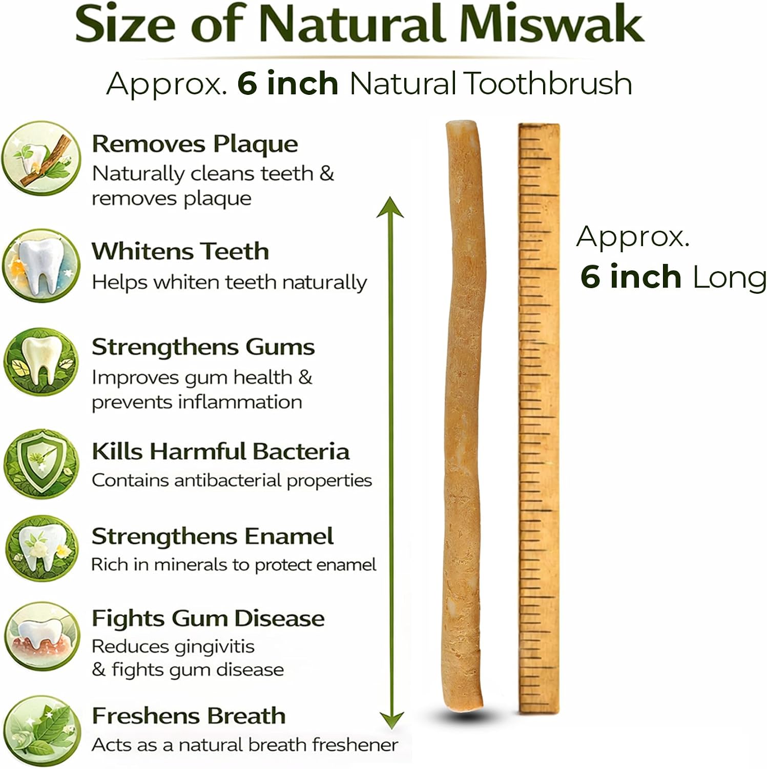 Pack of 10 Miswak Sticks for Teeth with 1 Holder - Natural Toothbrush Stick for Teeth Whitening & Healthy Gums | Vacuum Sealed Sewak Sticks for Teeth | Peelu Miswak Toothbrush 10-Count