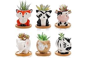 6 Pack Succulent Pots, 3 Inch Small Ceramic Flower Planter Pot