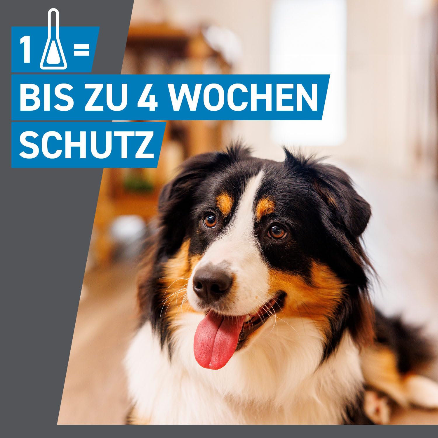 FRONTLINE Spot ON Hund L gegen Zecken, Flöhe & Haarlinge (20 bis 40 kg) | 6+3 Pipetten (2er Pack) für bis zu 9 Monate Schutz - einfache Anwendung, gute Verträglichkeit - wasserfest - für große Hunde