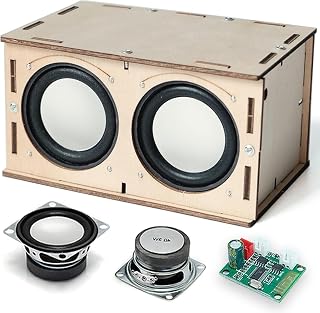 STEM Projects for Kids Stocking Stuffers Wood Crafts Valentines Gifts Ideas for Boys Girls Teens Toys Building Engineering Circuits Kit Science DIY Speaker Cool Gadgets Electronics
