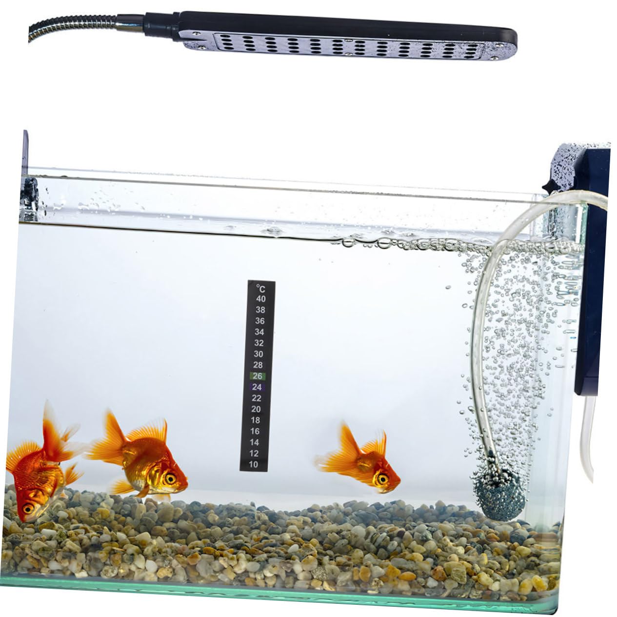 12 pièces Autocollants Thermomètre pour Aquarium Thermomètre Digital à Coller Aquarium Poissons Température pour Eau Fish Tank