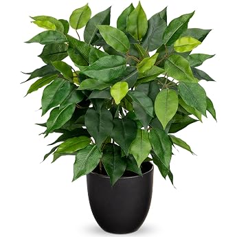 Hollyone Artificial Plants Like Real Ficus 40 cm Artificial Ficus Plants in Pot Green Plant Decorative Indoor Plant for Windowsill Living Room Bathroom Table Decoration Green