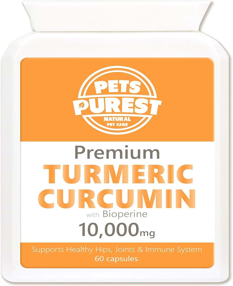 turmeric for cats