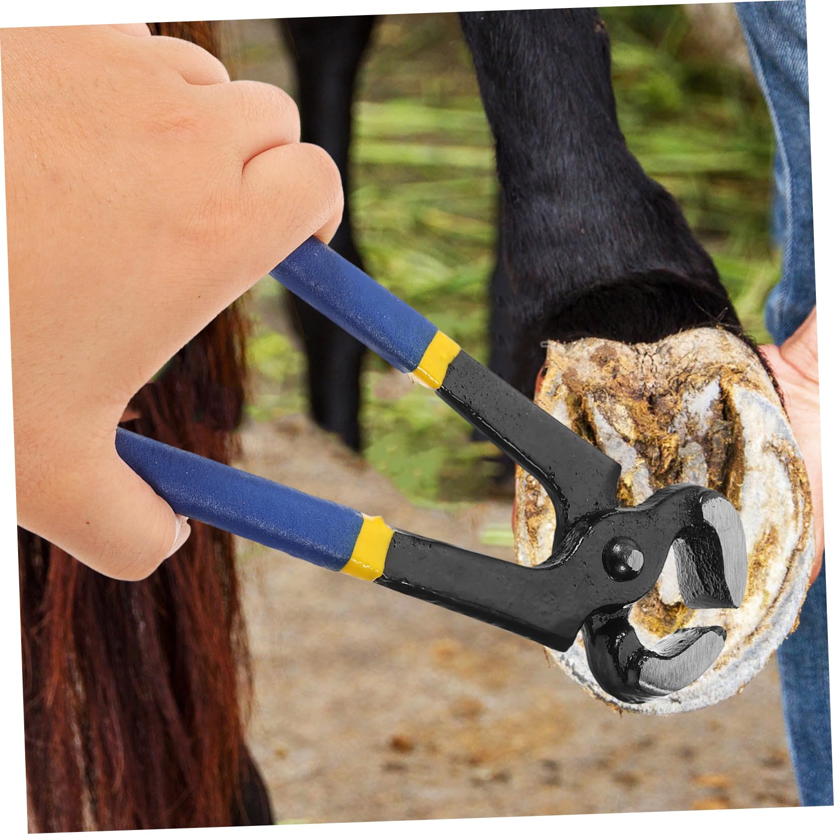 Yardwe 5 Piezas alicates para recortar pezuñas pinzas de herrador cortauñas de caballo Tijeras de reparación de herraduras Herramienta de reparación de herraduras herramienta para herrar