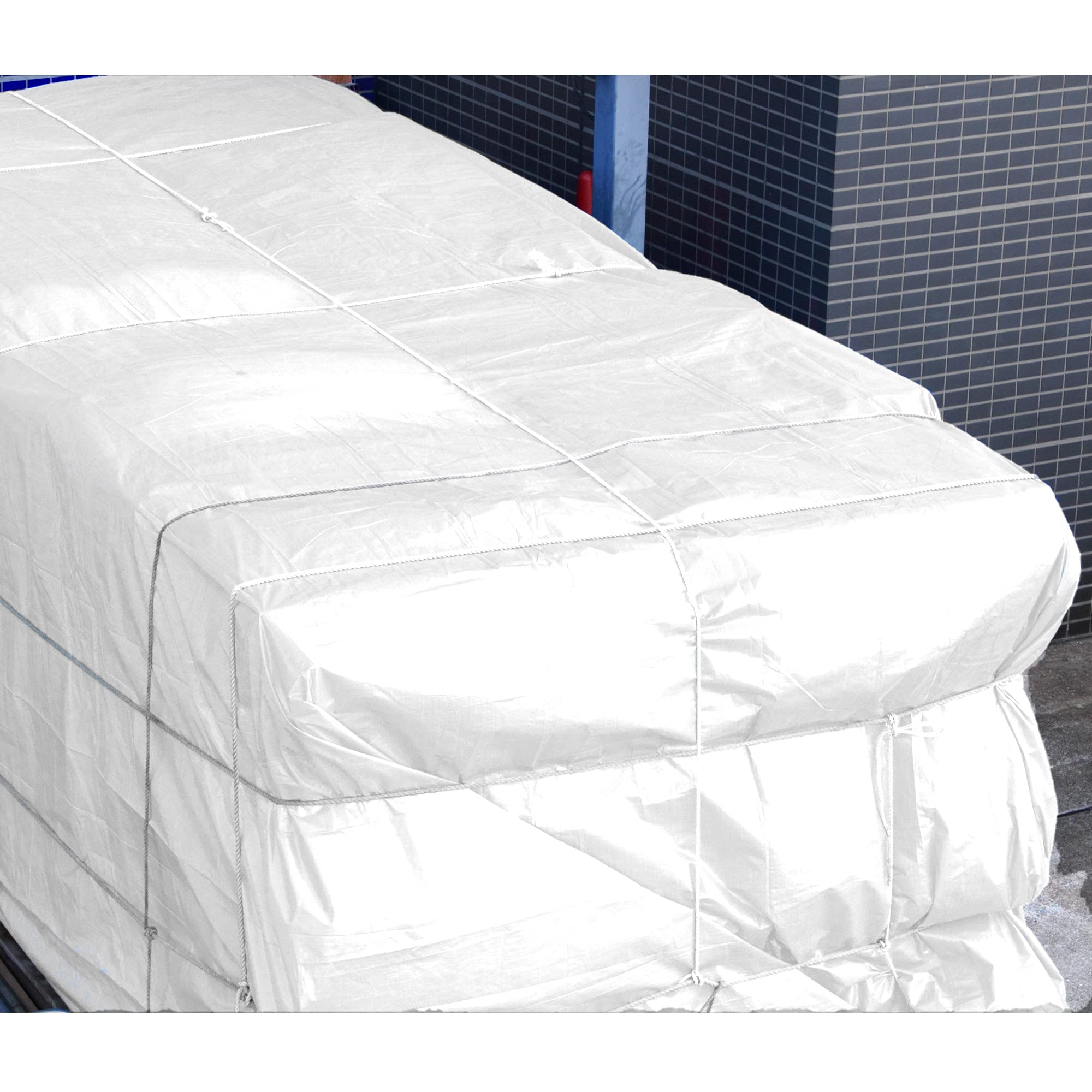 ECD Germany Telone Tessuto Polietilene con Occhielli 4x6m 24m² 260g/m² Bianco Resistente alla Muffa Impermeabile Antistrappo Rinforzato Protettivo Copertura per Mobili da Giardino Piscina Autoveicoli