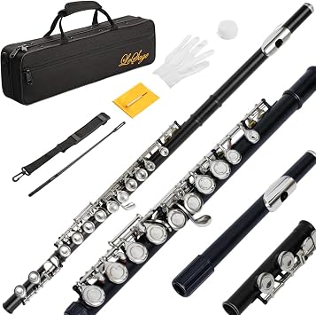 LeSage Closed Hole C Flute 16 Key for Beginner Students, Offset G, C Foot, Y-Arm, with Hard Case, Cleaning Kit, Maintenance Kit & Gloves Black
