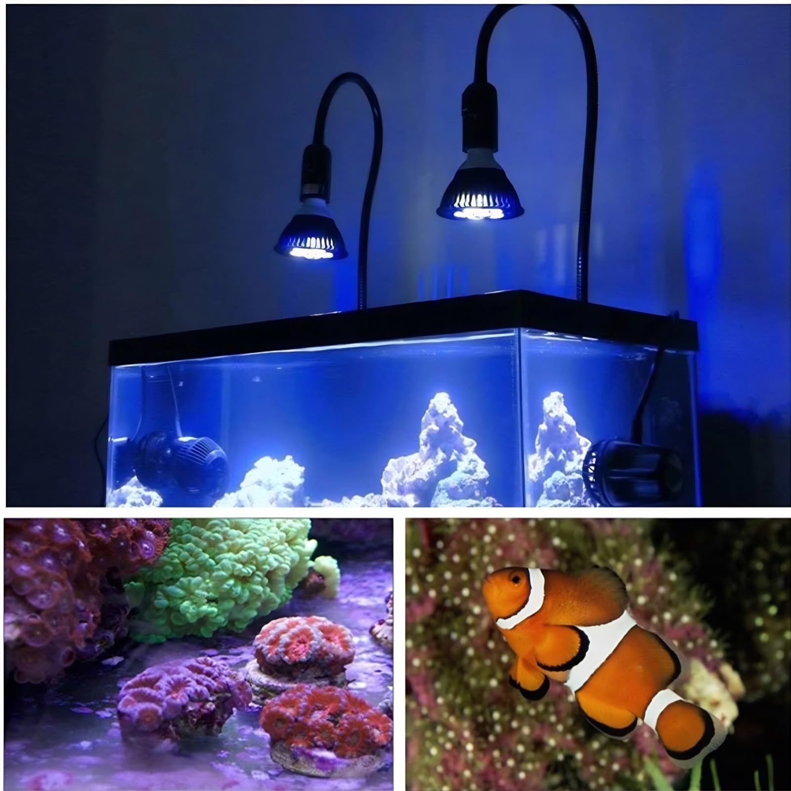 Marine Fish Tank Lights