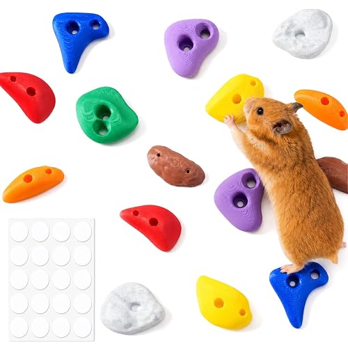 16Pcs Hamster Climbing Wall Toys, Hamster Enrichment for Syrian Hamsters